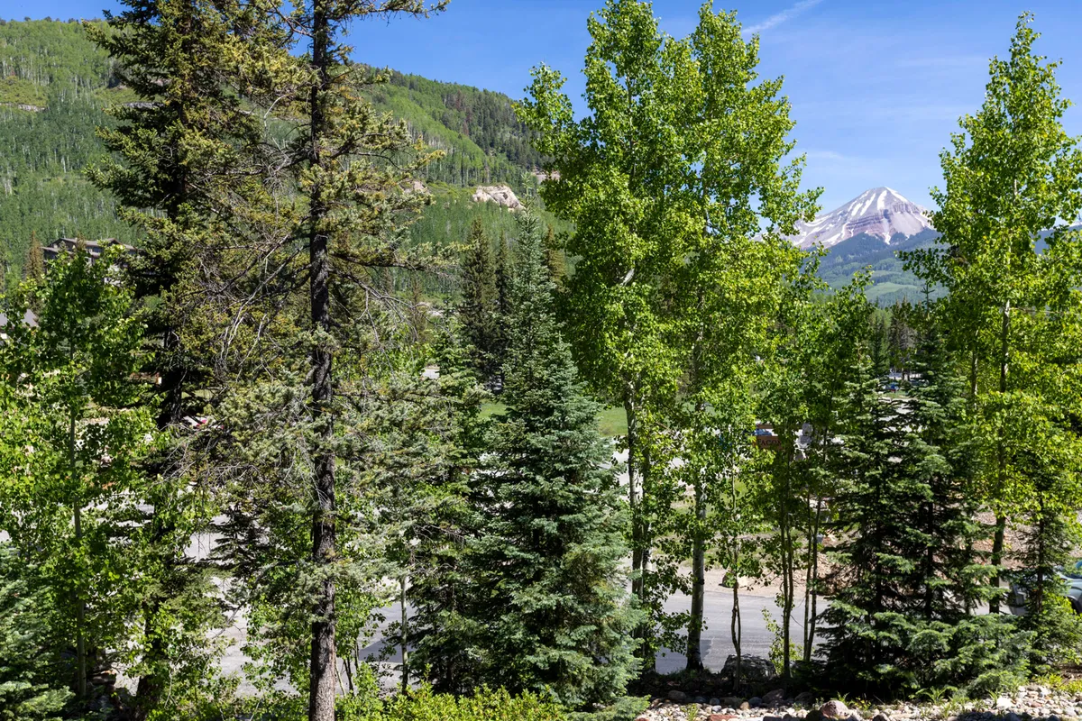 This image captures a breathtaking outdoor scene with tall trees, a snow-capped mountain in the distance, and a clear blue sky. The landscape is ideal for hiking, nature walks, and enjoying serene moments in nature. The mood is tranquil and inspiring, evoking the sense of adventure and discovery detailed in the section.